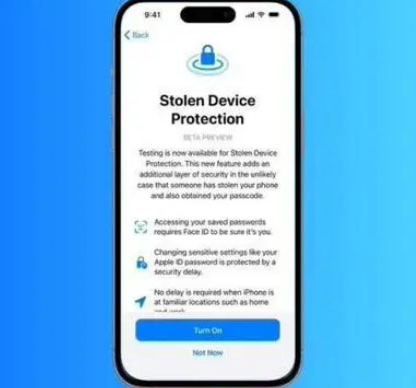 民权苹果授权维修店分享被盗设备保护功能开启方法 