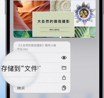 民权apple维修中心分享iPhone文件应用中存储和找到下载文件