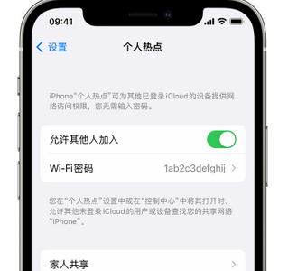 民权apple服务站点分享iPhone上个人热点丢失了怎么办 