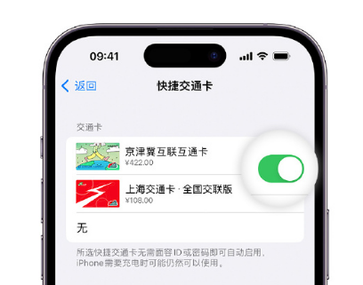 民权apple维修点分享iPhone上更换Apple Pay快捷交通卡手绘卡面 