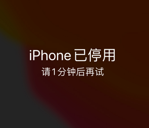 民权苹果手机维修分享:iPhone 显示“不可用”或“已停用”怎么办？还能保留数据吗？ 