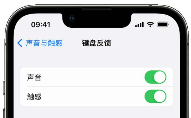 民权苹果手机维修分享iPhone 14触感键盘使用方法 