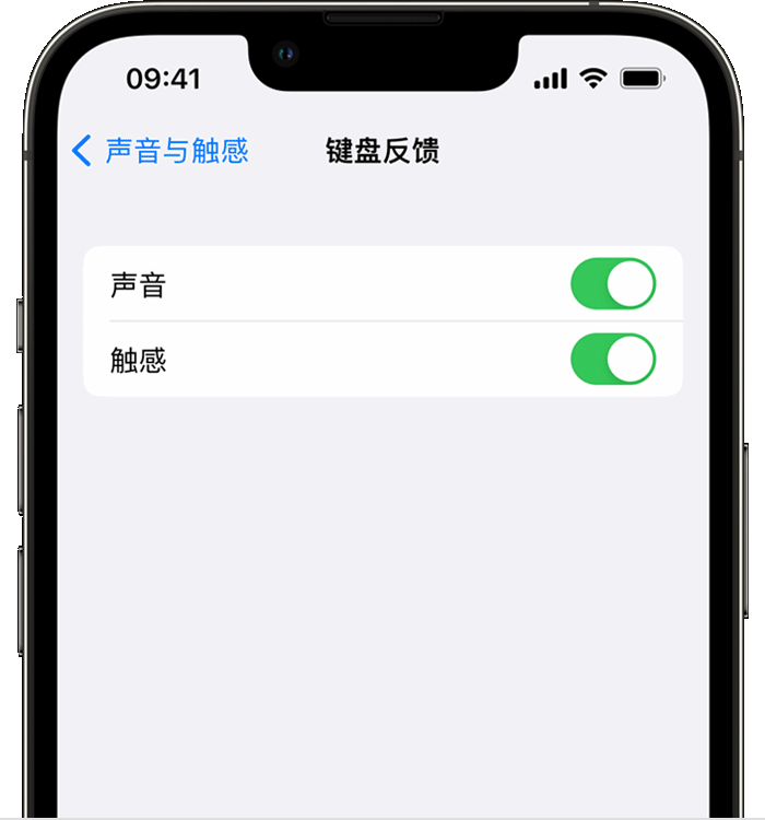 民权苹果14维修店分享如何在 iPhone 14 机型中使用触感键盘 