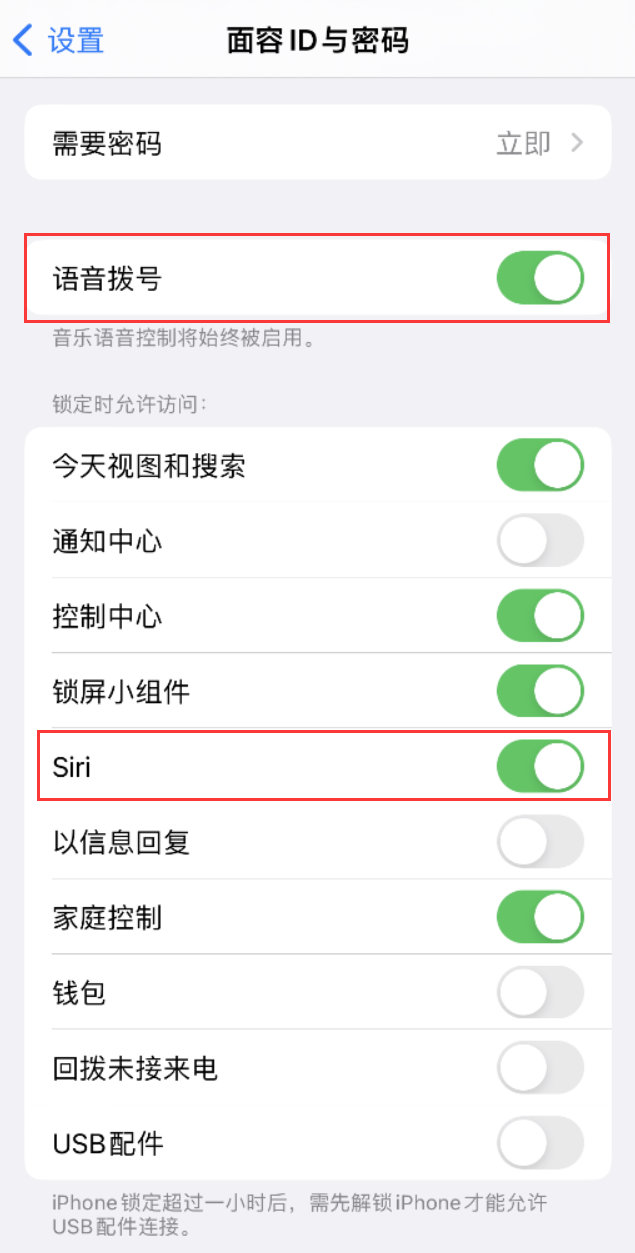 民权苹果维修网点分享不解锁 iPhone 的情况下通过 Siri 拨打电话的方法 