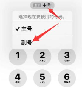 民权苹果14维修店分享iPhone 14 Pro Max使用副卡打电话的方法 