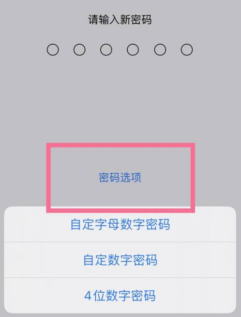 民权苹果14维修分享iPhone 14plus设置密码的方法 