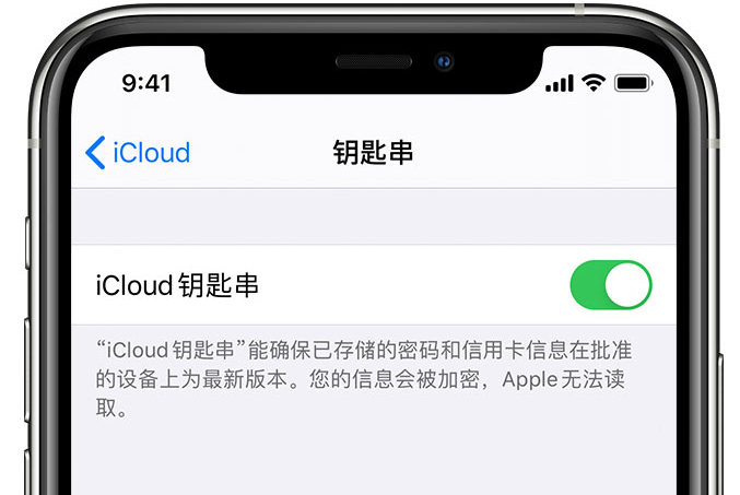 民权苹果手机维修分享在 iPhone 上开启 iCloud 钥匙串之后会储存哪些信息 