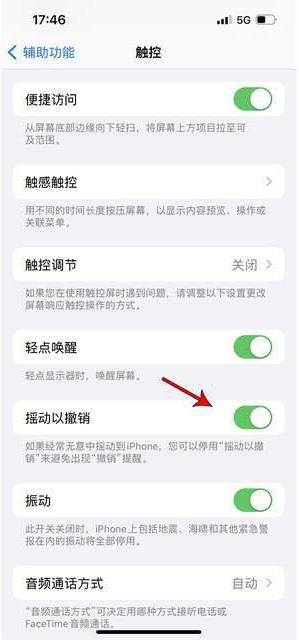 民权苹果手机维修分享iPhone手机如何设置摇一摇删除文字 